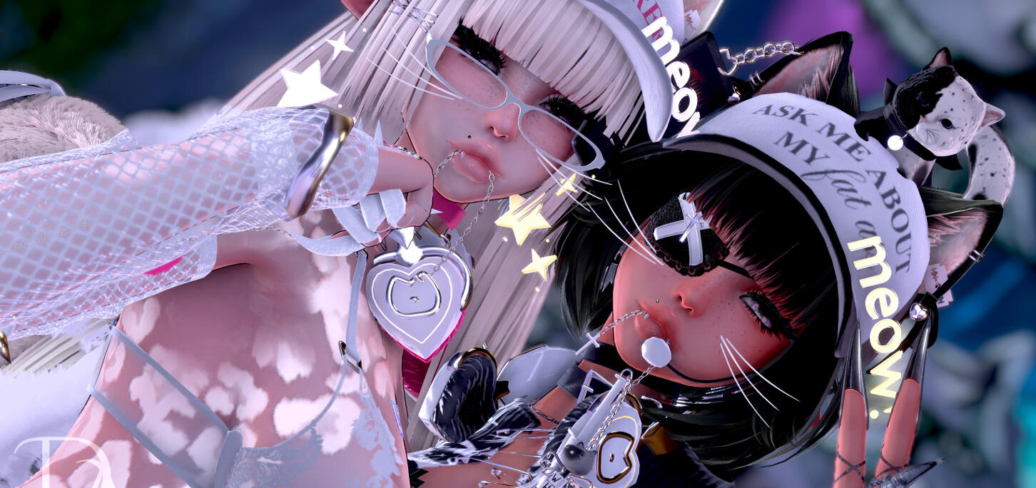 CLICK PHOTO FOR THE TOGGLE SHOWCASE ! Photo Credit to Ave & Demo